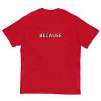 100% cotton classic tee "BECAUSE"