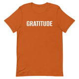 Soft and comfy 100% cotton T-Shirt  "GRATITUDE"