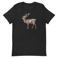 Soft, breathable, cotton t-shirt  "ELK" (additional elk on back collar)