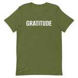 Soft and comfy 100% cotton T-Shirt  "GRATITUDE"